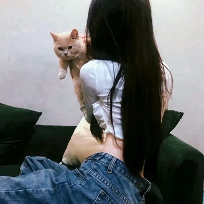 超能先生与的伙伴们